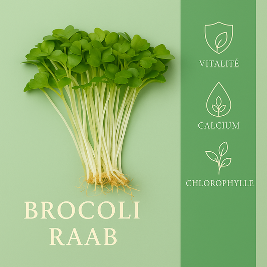 Brocoli Raab 50gr