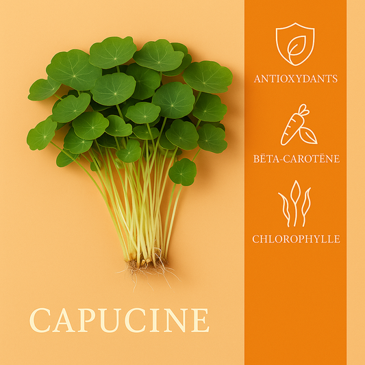 Capucine Empress of India 50gr
