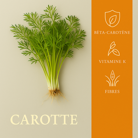 Carotte 50gr