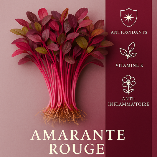 Amarante Rouge 50gr